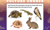  Experience Arizona Desert Animals Up Close at Phoenix Sky Harbor