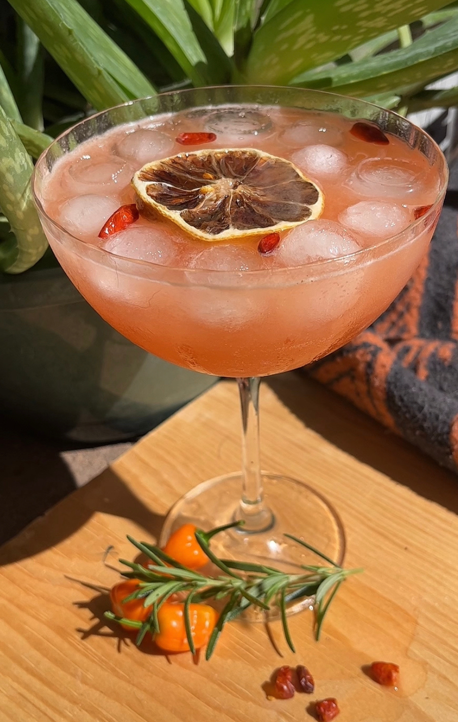 PhoenixCocktail | Phoenix Sky Harbor International Airport