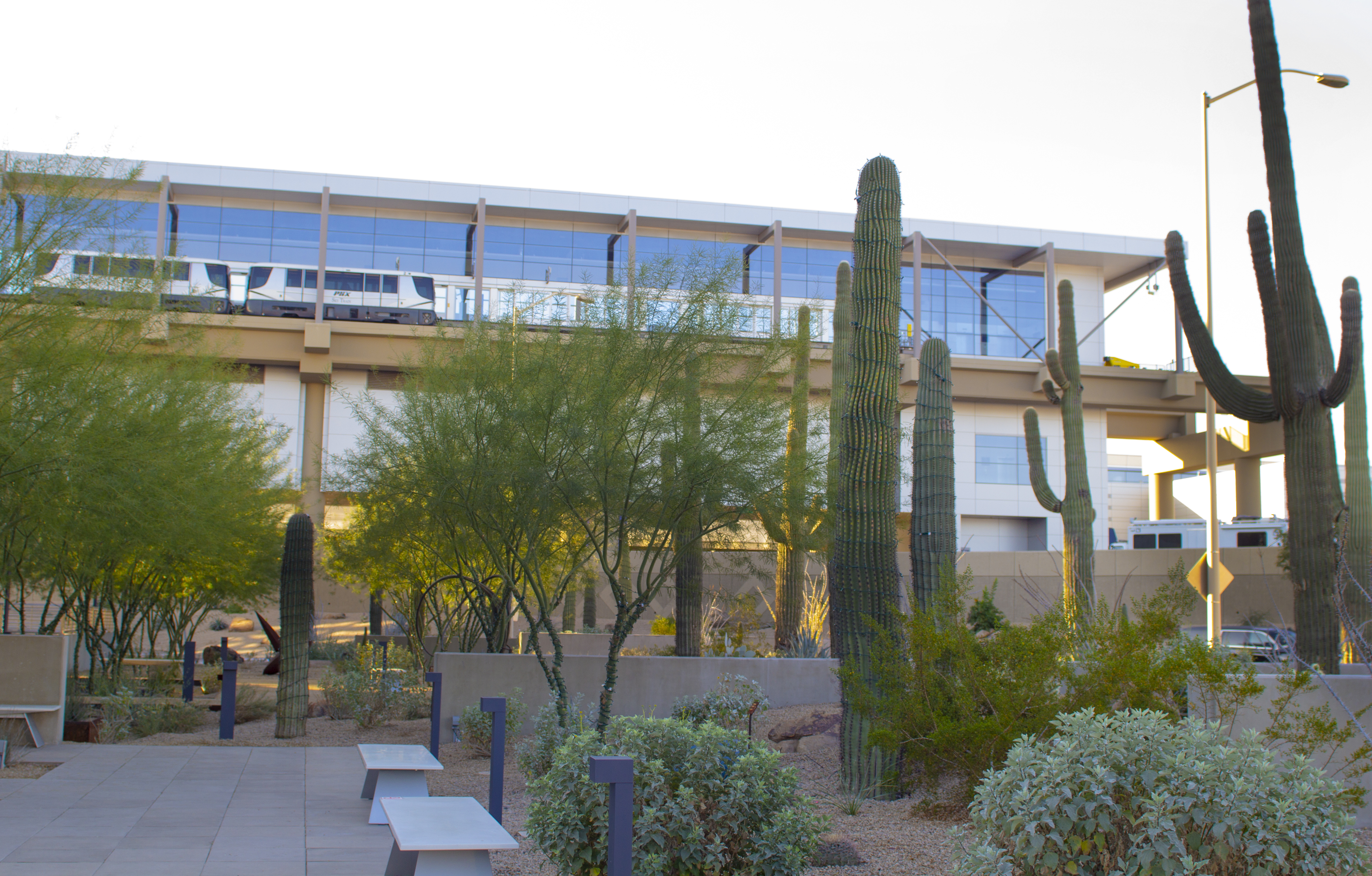 View of PHX Sky Train from Desert Garden