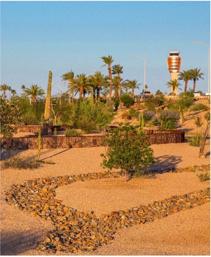 Xeriscaping at PHX Sky Harbor International Airport