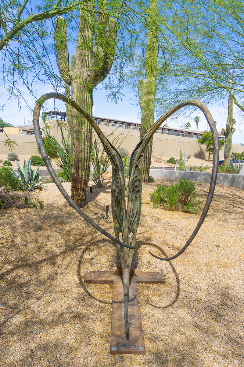 Desert Garden 5