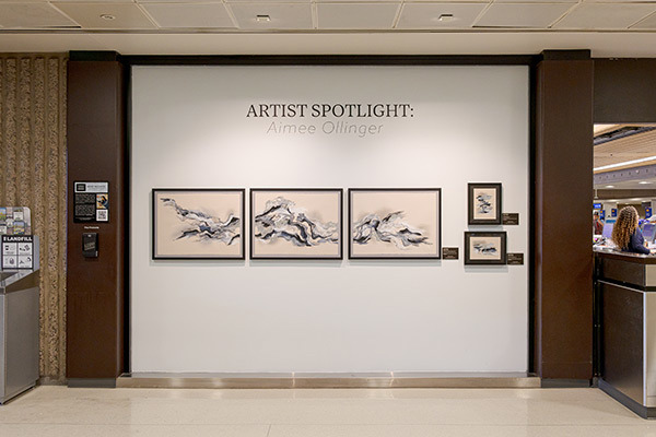  Phoenix Airport Museum Highlights Emerging Artists
